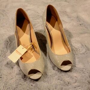 Silver Shiny Dress Shoes. Never Worn